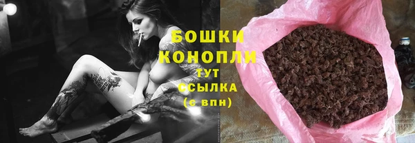 амф Гусев