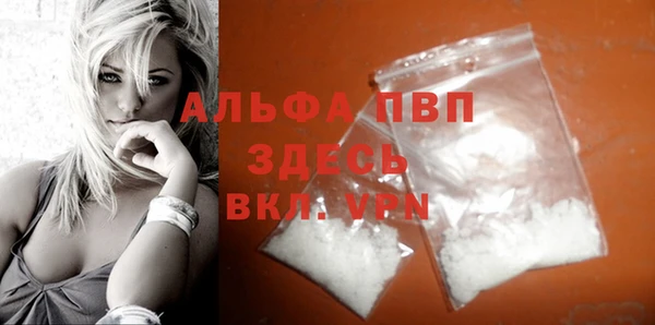 амф Гусев