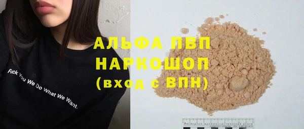 амф Гусев