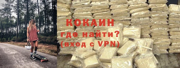 амф Гусев