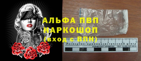 амф Гусев