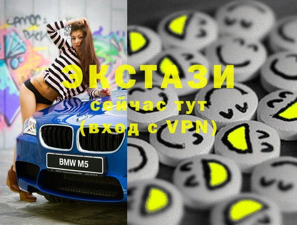 амф Гусев