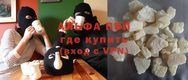 амф Гусев