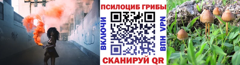 Галлюциногенные грибы мухоморы  Купить  Асбест 